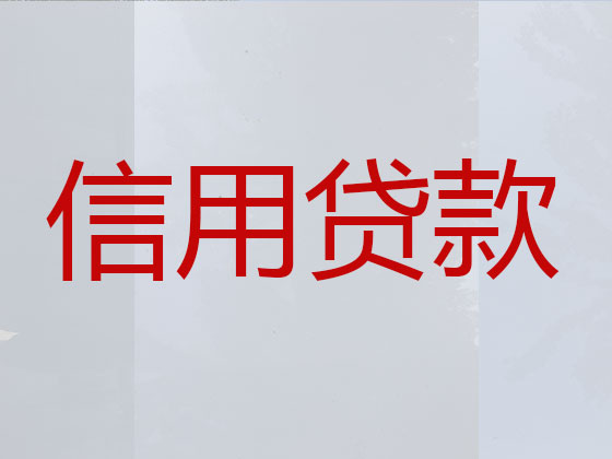 汉川市贷款公司-银行信用贷款